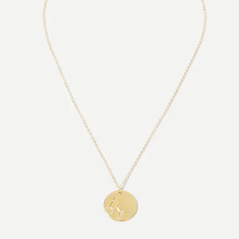 Aquarius Astrology Pendant Necklace - Picture 3 of 5